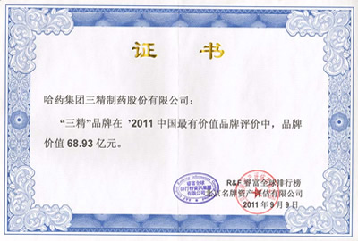 2011年伟易博·(中国区)官方网站品牌价值证书
