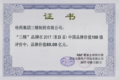 2017年伟易博·(中国区)官方网站品牌价值证书